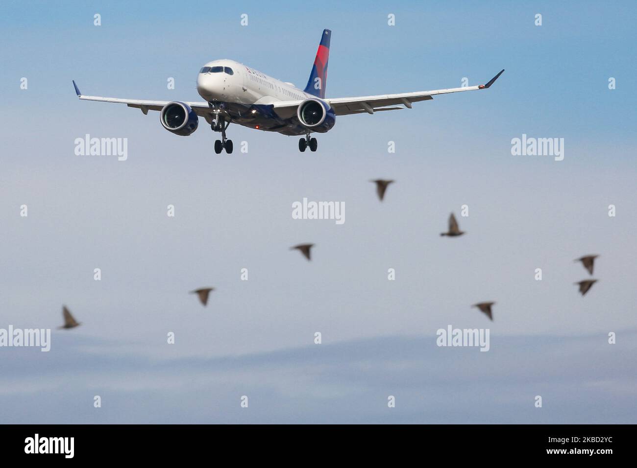 Delta Air Lines Airbus A220-100-Flugzeuge, gesehen bei der endgültigen Landung mit Landeanflug auf dem John F. Kennedy International Airport in New York am 14. November 2019 in New York, USA. Das Flugzeug hat die Registrierung N121DU, 2x PW-Düsentoiletten. Das in Airbus A220 umbenannte Flugzeug war Bombardier CS100, BD-500-1A10. Delta Air Lines DL Delta ist die größte Fluggesellschaft der Welt mit einem Drehkreuz in New York-JFK. (Foto von Nicolas Economou/NurPhoto) Stockfoto
