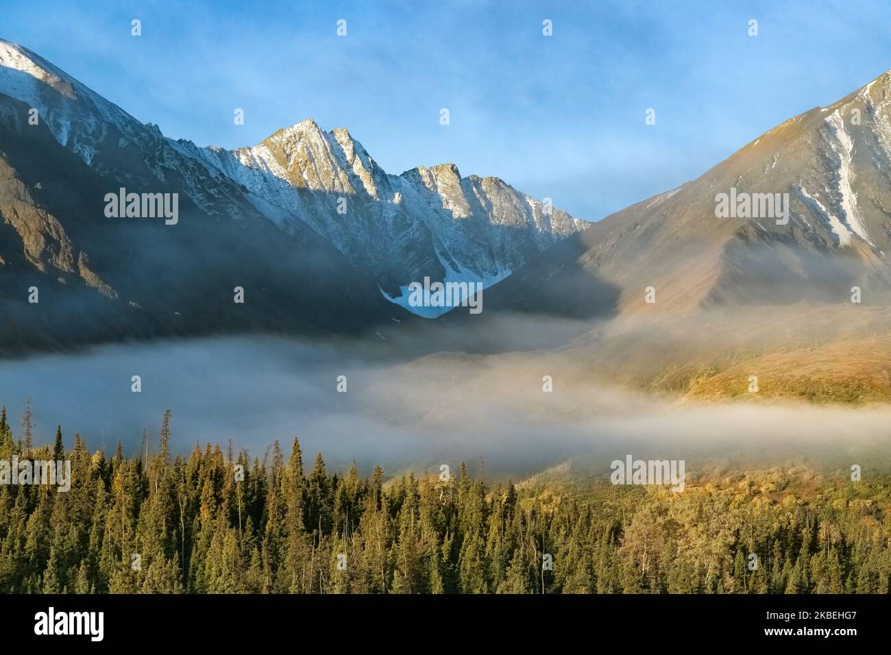 Kanada, Yukon, Blick auf den Wald unter dem Nebel im Herbst, mit Bergen im Hintergrund, schöne Landschaft in einem wilden Land Stockfoto
