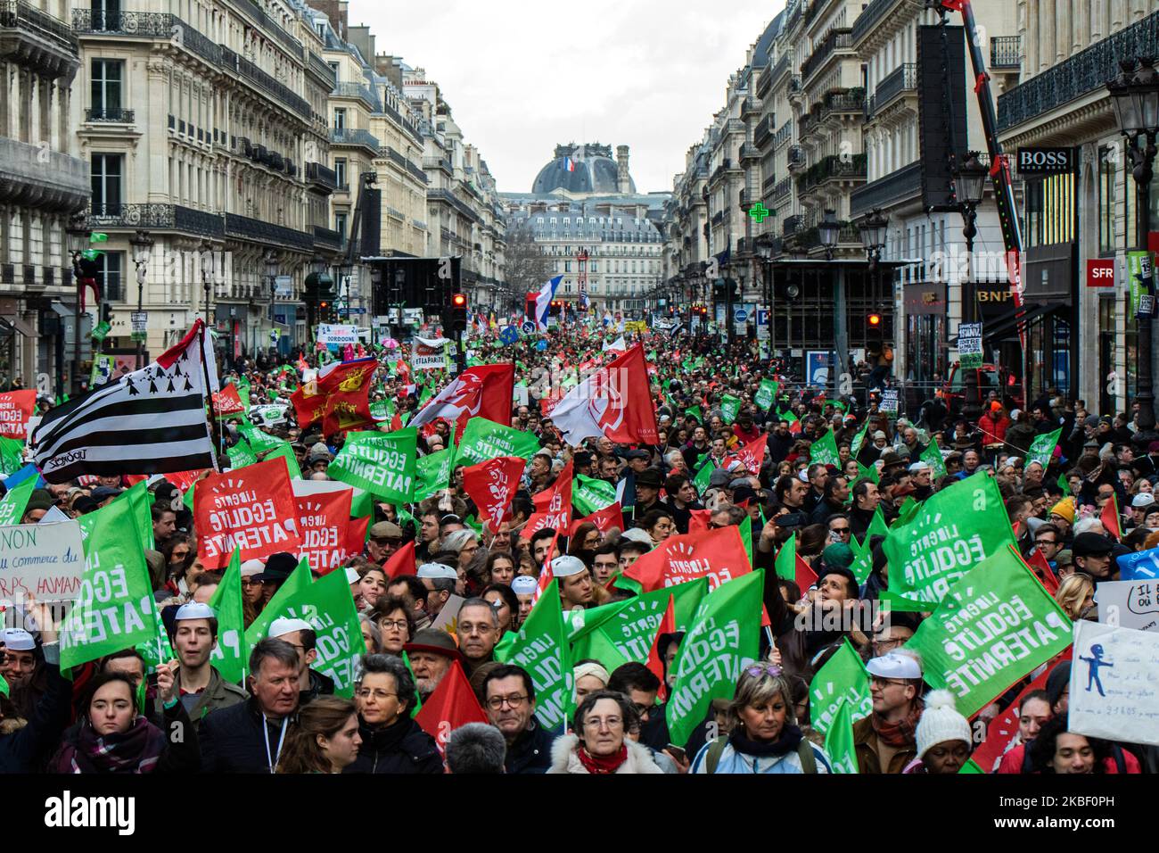 Demonstranten halten während einer Demonstration der Bewegung „La Manif pour tous“ gegen die „medizinisch unterstützte Zeugung (KARTE) ohne Vater“ in Paris am 19. Januar 2020, zwei Tage vor der Debatte über das Bioethik-Gesetz im französischen Senat, Flaggen fest (Foto: Jerome Gilles/NurPhoto) Stockfoto