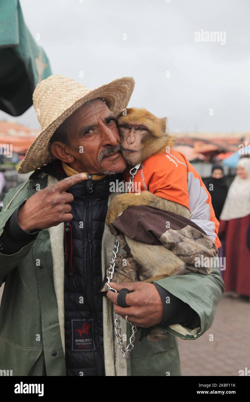 Am 5. Januar 2016 unterhält ein Mann mit einem Affen eine kleine Menschenmenge auf dem Platz Jemaa el-Fnaa in der Medina (Altstadt) von Marrakesch (Marrakesch) in Marokko, Afrika. Marrakesch ist die viertgrößte Stadt im Königreich Marokko. (Foto von Creative Touch Imaging Ltd./NurPhoto) Stockfoto