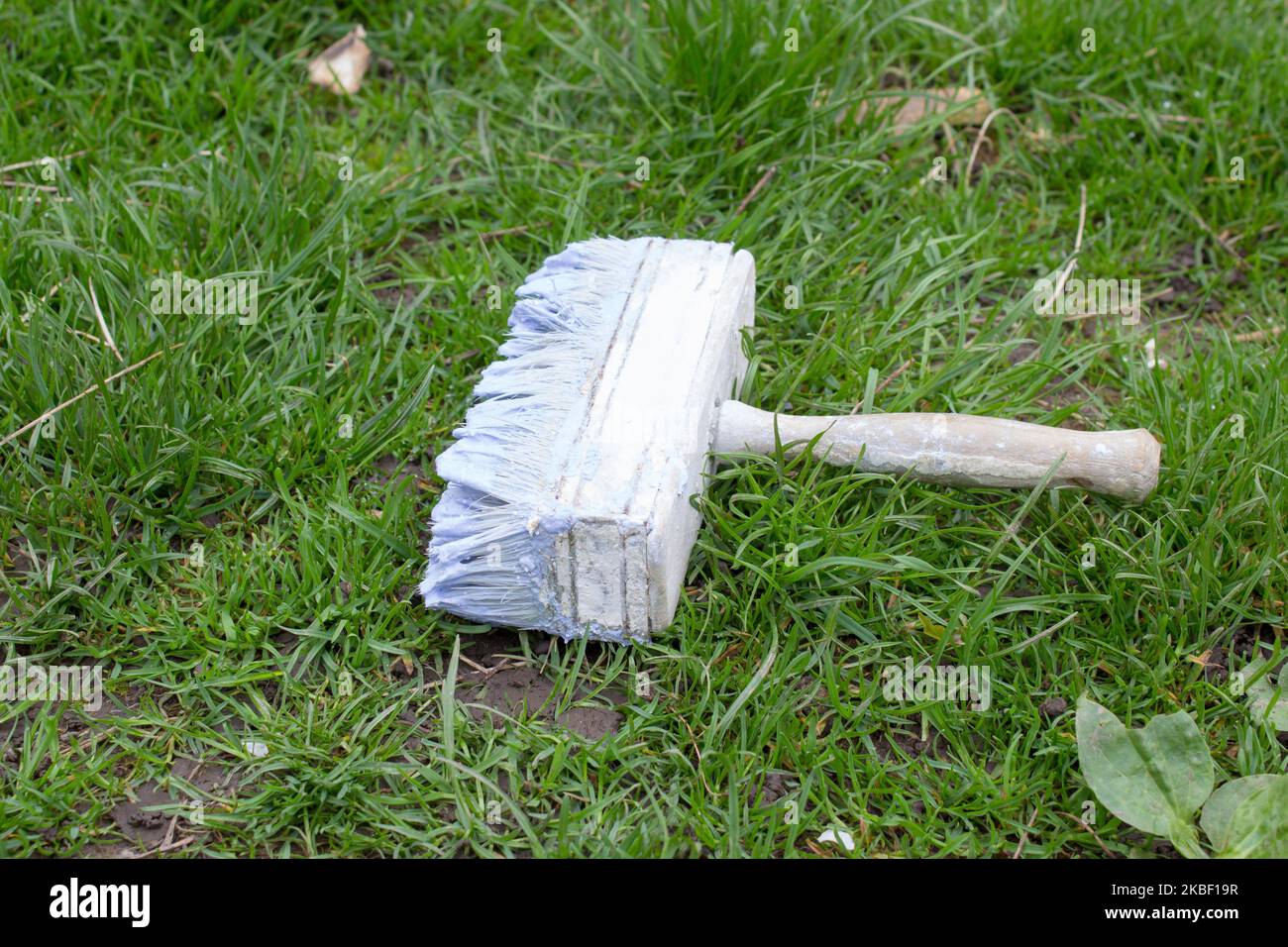 Im Frühjahr mit Kalk auf das Gras streichen Stockfoto