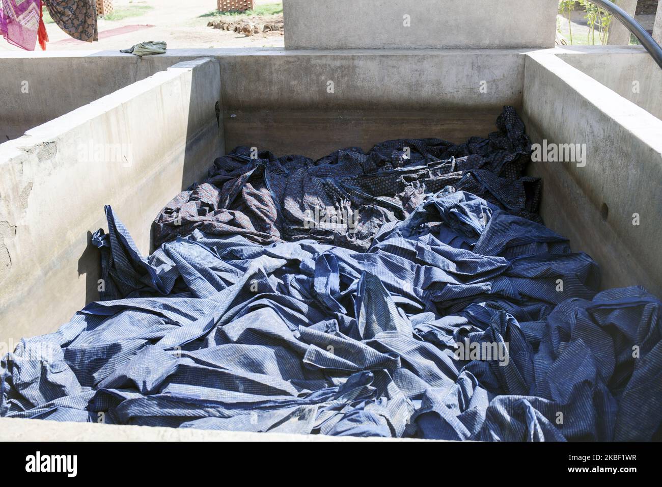 Indigo gefärbten Stoff im Waschbad in Bagro, Jaipur Bezirk, Rajasthan, Indien am 17. März 2019 abgebildet. Die Exkremente werden später zum Brennen des Ofens verwendet, um das Wasser mit natürlichen Farbstoffen zu kochen. Das Bedrucken von Stoffen ist eine indische Spezialität, Holzblockdruck wird bereits seit Hunderten von Jahren verwendet. Bagro ist berühmt für den Druck ausschließlich mit natürlichen Farben. Die wichtigsten Experten sind Mitglieder der Chhipa-Gemeinschaft. (Chhi - Farbstoff, pa - etwas in der Sonne trocknen lassen). Die Einheimischen schätzen, dass es rund 200 Druckwerkstätten in und um Bagro gibt, in denen Stoffe mit Schlammpaste, Naturkautschuk und gefärbt werden Stockfoto