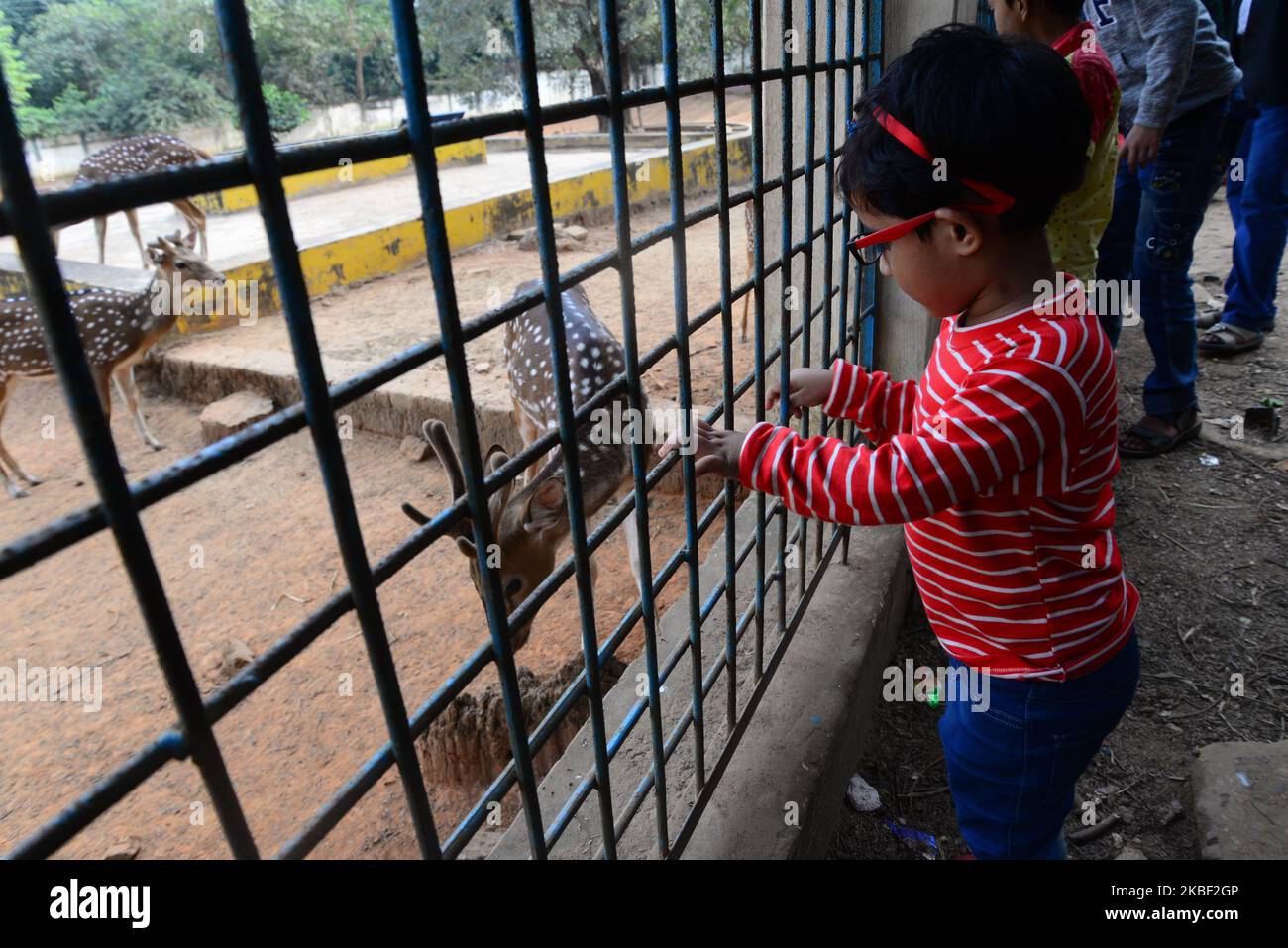 Menschen aus Bangladesch besuchen am 21. Januar 2020 den Tierzoo in Dhaka, Bangladesch. (Foto von Mamunur Rashid/NurPhoto) Stockfoto