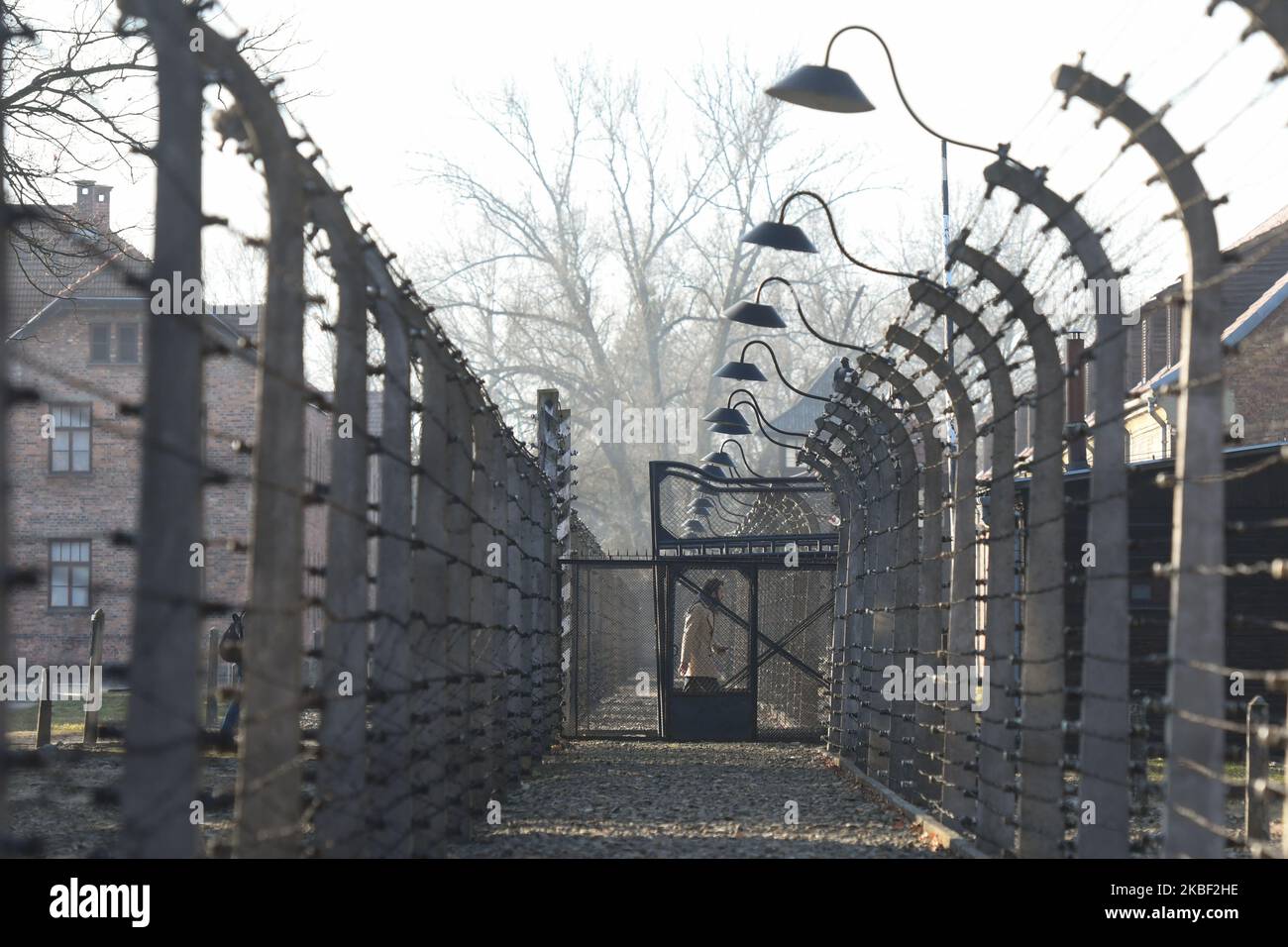 Eine Ansicht der elektrischen Zäune im ehemaligen Nazi-Konzentrationslager Auschwitz I, die während eines zweiten Tages der Veranstaltung „Delegation nach Auschwitz“ gesehen wurde. Am dienstag, den 21. Januar 2020, im Konzentrationslager Auschwitz I, Oswiecim, Polen. (Foto von Artur Widak/NurPhoto) Stockfoto