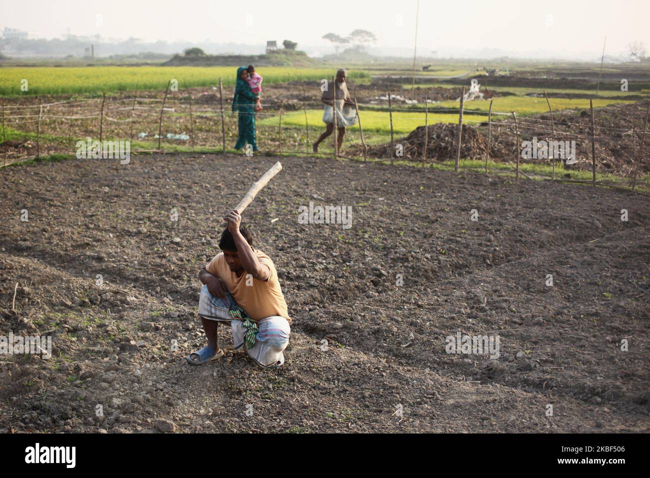 Masum Sarker (26) , stürzt harte Böden ab, bevor am 22. Januar 2020 in Rupganj , Narayanganj , Bangladesch, Gemüse gepflanzt wird. (Foto von Syed Mahamudur Rahman/NurPhoto) Stockfoto