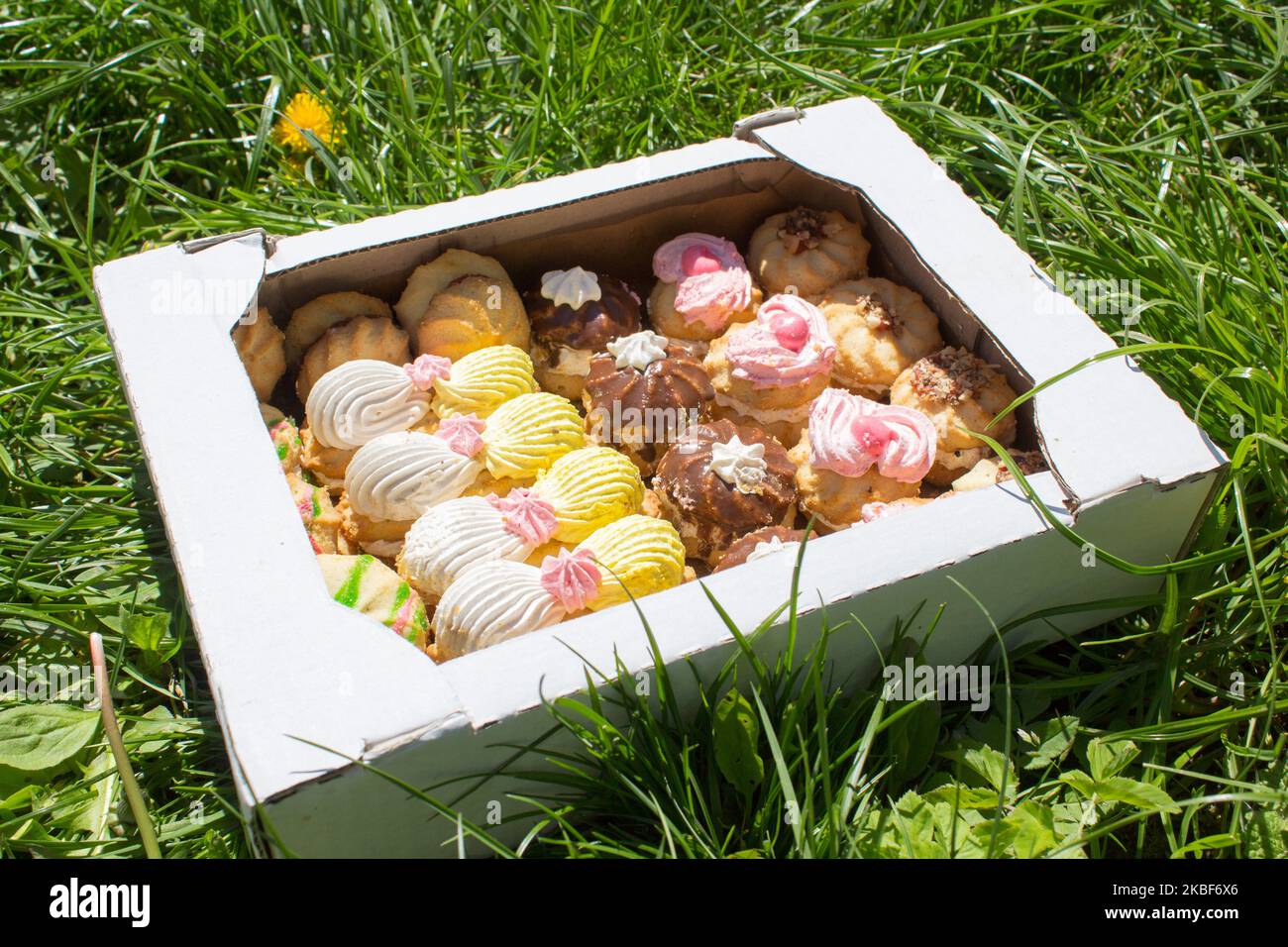 Federkachtel mit Keksen, die auf dem Gras liegen Stockfoto