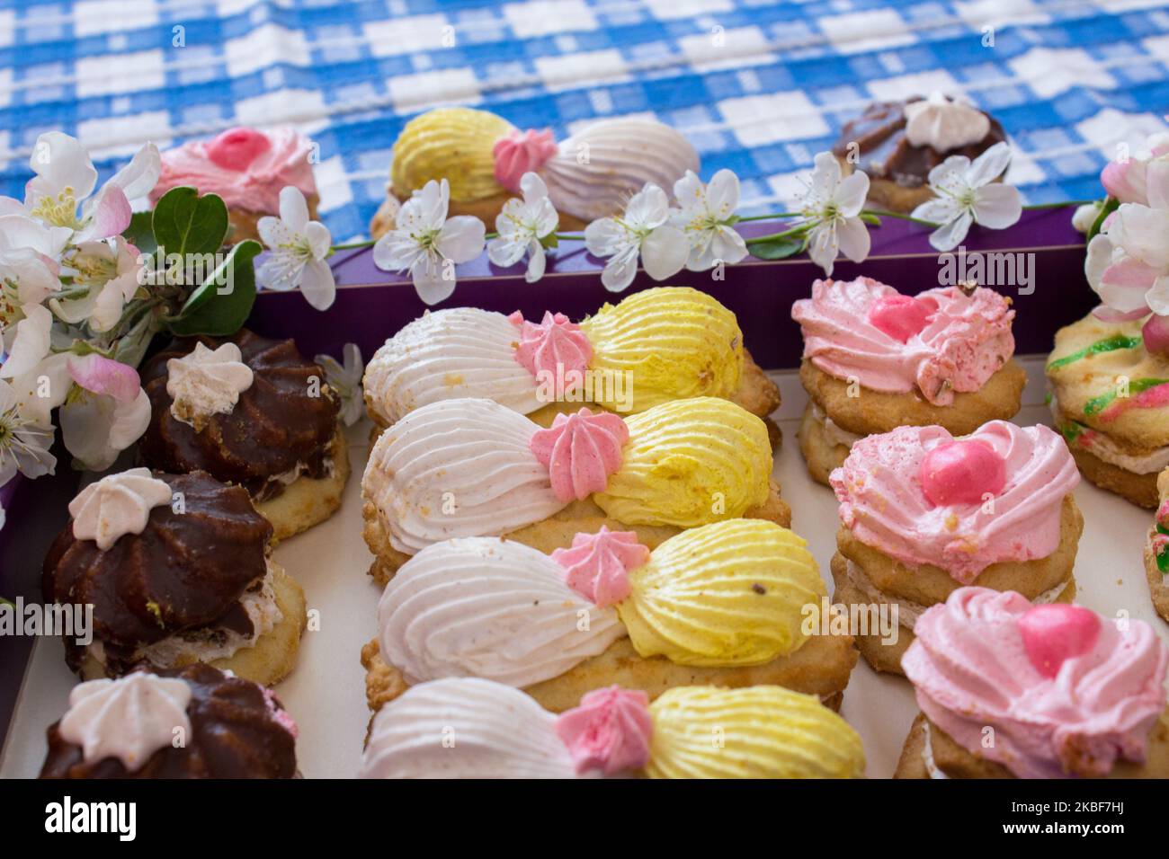 Bunte Kekse in Creme auf Kirschblüte Stockfoto