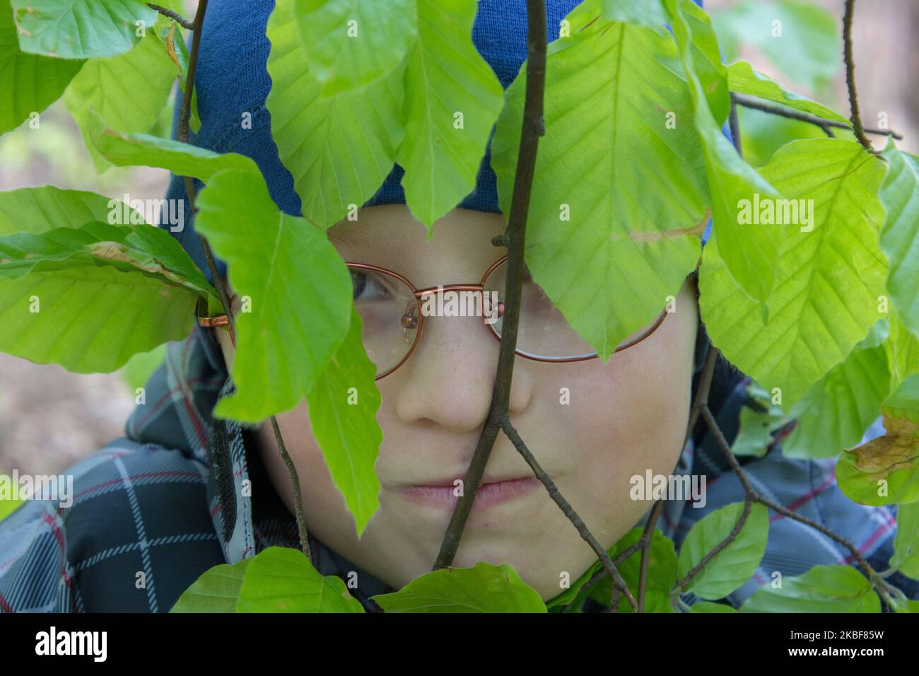 Junge mit Brille, die in den Blättern eines Baumes im Wald versteckt ist Stockfoto