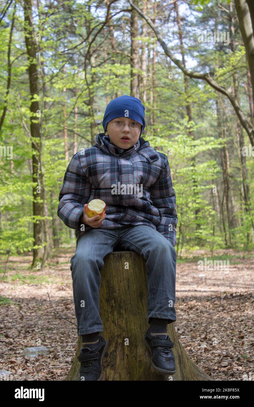 Emotion eines überraschten Jungen, der auf einem Stumpf im Wald sitzt Stockfoto