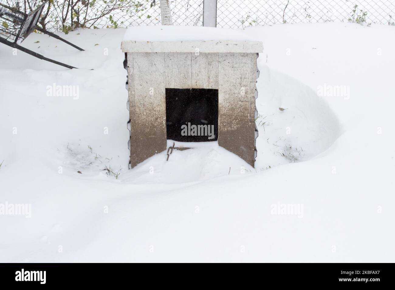 Starker Winterschneesturm vergrub das Hundehaus Stockfoto