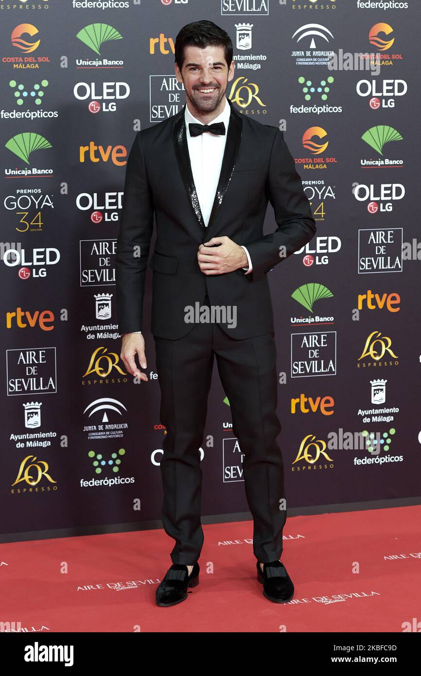 Miguel Angel Munoz nimmt am 25. Januar 34. 2020 an den „Goya“ Cinema Awards 2020 im Sportpalast Jose Maria Martin Carpena in Malaga, Spanien Teil (Foto: Carlos Dafonte/NurPhoto) Stockfoto