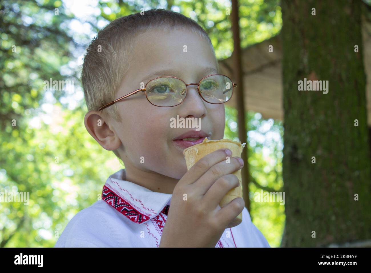 Junge in Gläsern mit Eis im Park Stockfoto