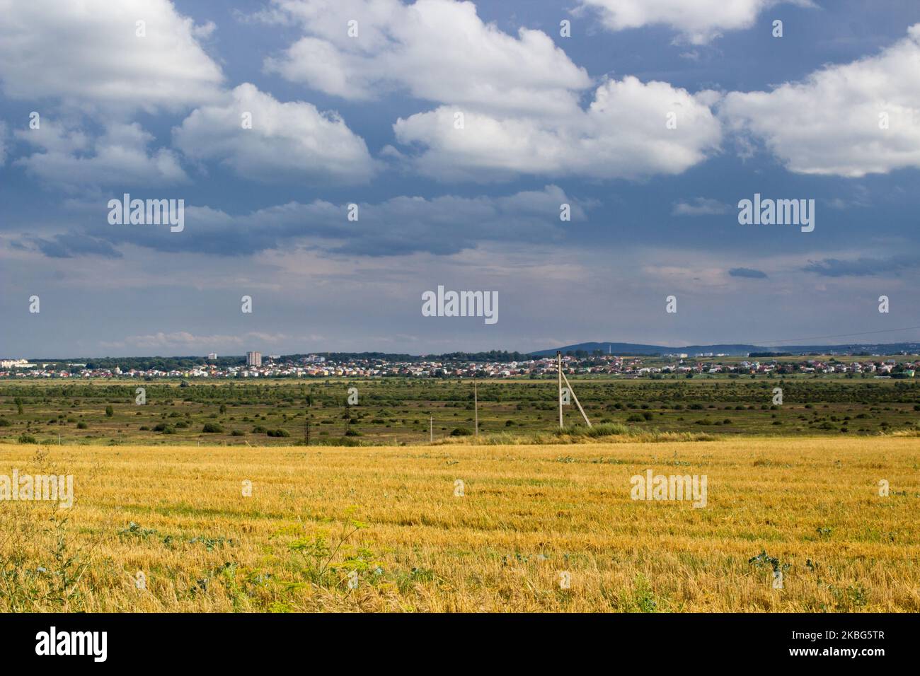 Weizenfeld im Sommer vor dem Hintergrund des Himmels mit schwarzen Wolken Stockfoto