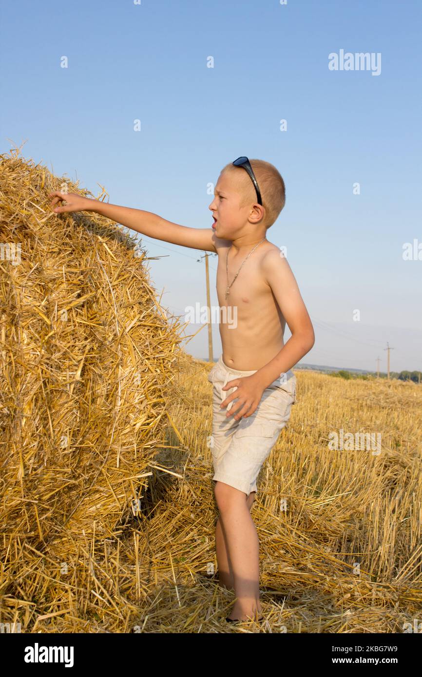 Der Junge hält seine Hand für einen Heuballen auf dem Feld Stockfoto