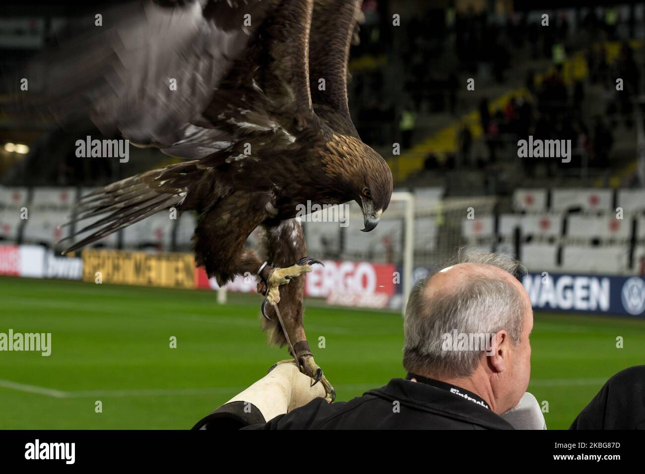 Eagle Attila, Mascot von Eintracht Frankfurt vor dem DFB-Cup-Spiel in der Commerzbank-Arena am 04. Februar 2020 in Frankfurt am Main. (Foto von Peter Niedung/NurPhoto) Stockfoto