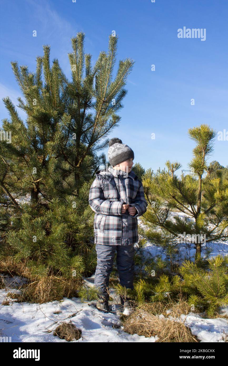 Junge, der im Winter in der Nähe des Pinienwaldes steht Stockfoto