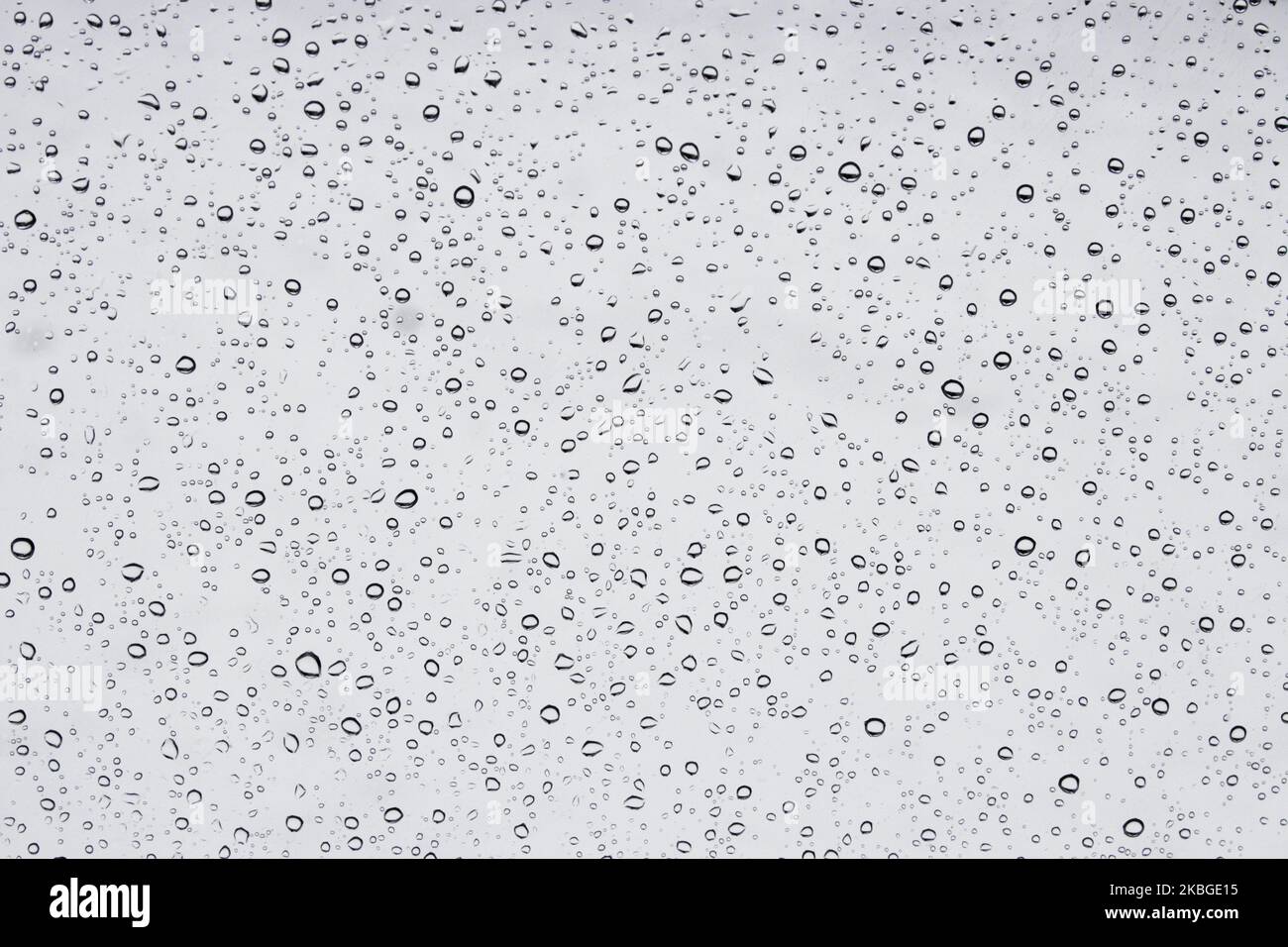 Regentropfen auf das Fensterglas Stockfoto
