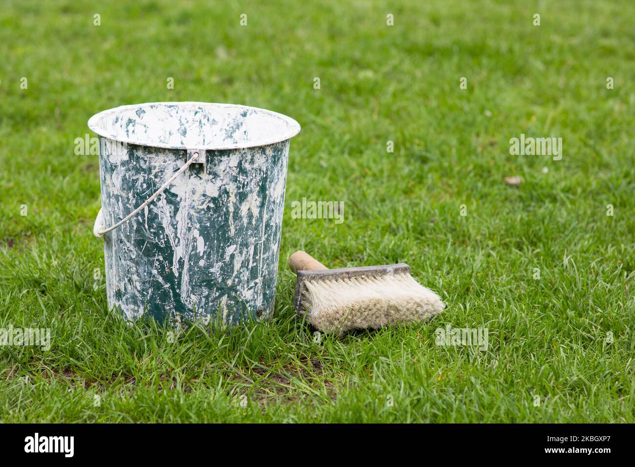 Ein Eimer weißer Farbe mit einem Pinsel auf dem Gras Stockfoto