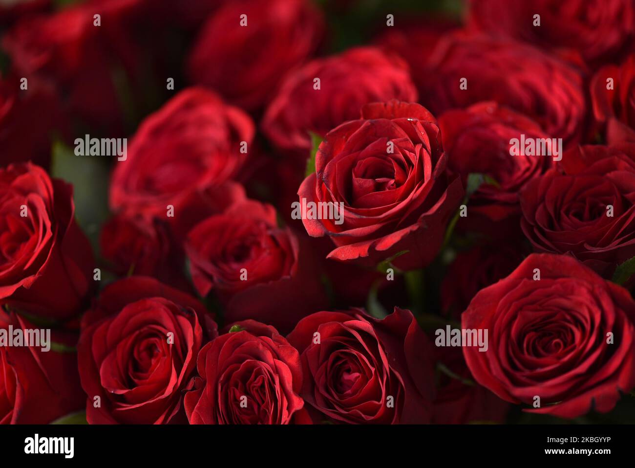 Ein Strauß Rosen zum Verkauf während der Feier des Valentinstag in Durbarmarg, Kathmandu, Nepal am Freitag, den 14. Februar 2020. Blumenläden im Kathmandu Valley haben Tausende von Rosenstöcken für den Valentinstag vorbereitet. Nepal importierte 130.000 rote Rosen, ein Symbol der Liebe im Wert von Rs10 Millionen aus Indien, um den Valentinstag zu feiern. (Foto von Narayan Maharjan/NurPhoto) Stockfoto