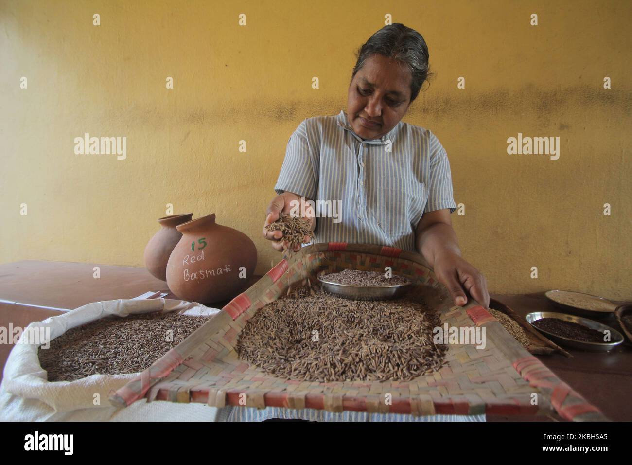 Der Gründer der Sozialorganisation SAMBHAB (möglich), Professor Radhamohan, und seine Tochter Sabarmatee, erklärten in diesem Jahr, dass sie in Indiens „One of a Prestigious President Award“ Padmashree ausgezeichnet werden. Sie bewirtschafteten den ökologischen Landbau auf dem Bauernhof ihrer Organisation und sie lebten auch einheimische Samen von Paddy, Millets, Gemüse und anderen wichtigen Gewürzen und kultivierten sie regelmäßig jedes Jahr. In der Nähe von über 700 Sorten von Bio-Samen bis jetzt in ihrer Organisation zur Verfügung. Beide beginnen mit der Kultivierung und schaffen auf einem lateriti-Steinfeld Boden. Am 17. Februar 2020 in Bhubaneswar, Indien. (Foto von Stockfoto