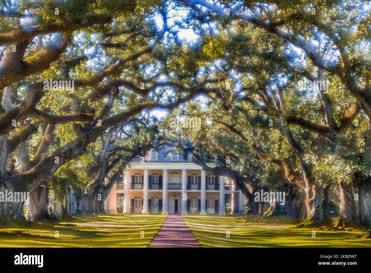 OAK ALLEY PLANTAGE (1837) VACHERIE LOUISIANA USA Stockfoto