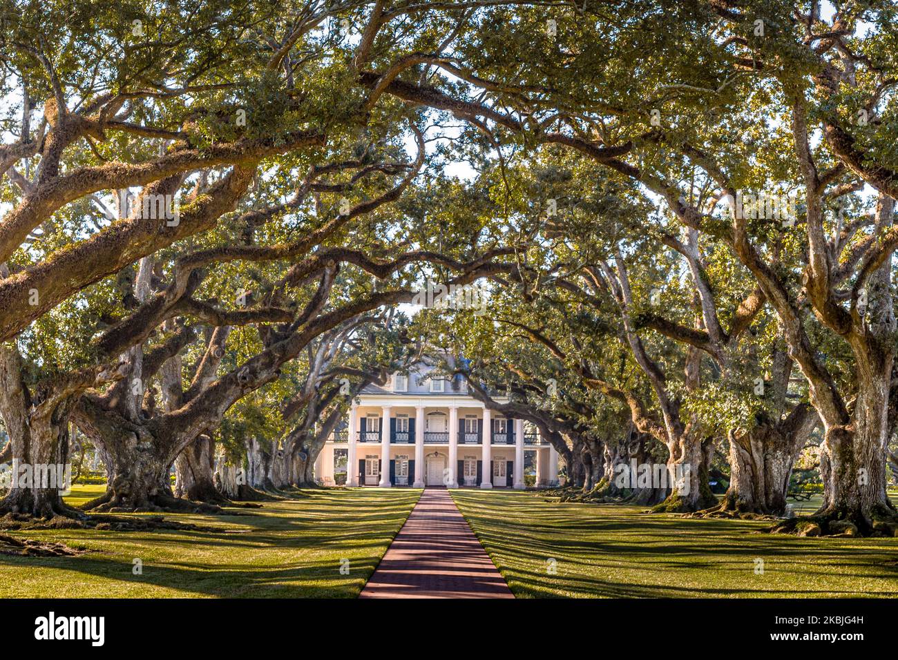 OAK ALLEY PLANTAGE (1837) VACHERIE LOUISIANA USA Stockfoto