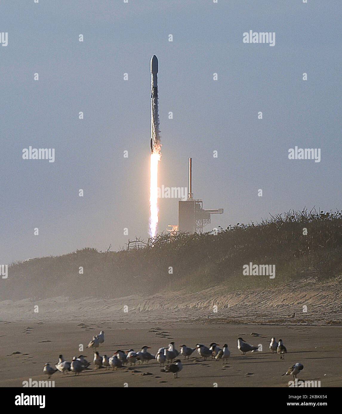 Eine SpaceX Falcon 9-Rakete mit 60 Starlink-Satelliten bildet nach dem Start von Pad 39A im Kennedy Space Center in Florida einen Dampfkegel, wie am 18. März 2020 vom Playalinda Beach an der Canaveral National Seashore in der Nähe von Titusville, Florida, aus gesehen. Dies ist die sechste Starlink-Mission, die zur Bereitstellung eines globalen Hochgeschwindigkeits-Internetdienstes entwickelt wurde. (Foto von Paul Hennessy/NurPhoto) Stockfoto