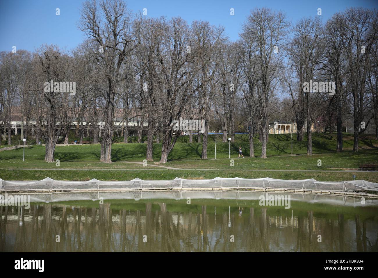 Am 20. März 2020 genießen die Menschen einen sonnigen Tag im Rosenstein Park in Stuttgart. Behörden haben vor einem Gruppenaufenthalten aufgrund der Erweiterung von Covid-19 auf dem Land Baden-Württemberg gewarnt (Foto: Agron Beqiri/NurPhoto) Stockfoto