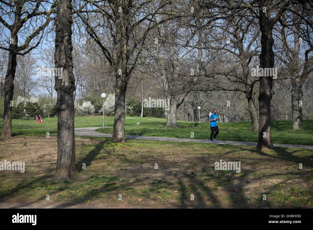 Am 20. März 2020 genießen die Menschen einen sonnigen Tag im Rosenstein Park in Stuttgart. Behörden haben vor einem Gruppenaufenthalten aufgrund der Erweiterung von Covid-19 auf dem Land Baden-Württemberg gewarnt (Foto: Agron Beqiri/NurPhoto) Stockfoto