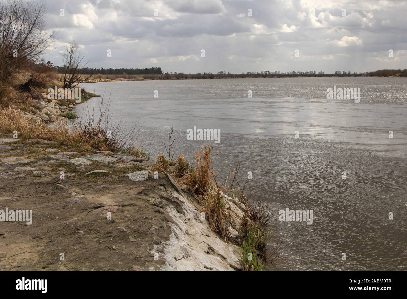Bäume und Sträucher am Ufer der Weichsel (Wisla) werden am 4. April 2020 in Biala Gore, Polen, gesehen.über 1500 Biber, die unter strengem Artenschutz stehen, werden von der polnischen Regierung zum Tode verurteilt. Die Regierung sagt, Biber zerstören Ackerland durch den Bau von Lodges, und sie mussten getötet werden. (Foto von Michal Fludra/NurPhoto) Stockfoto