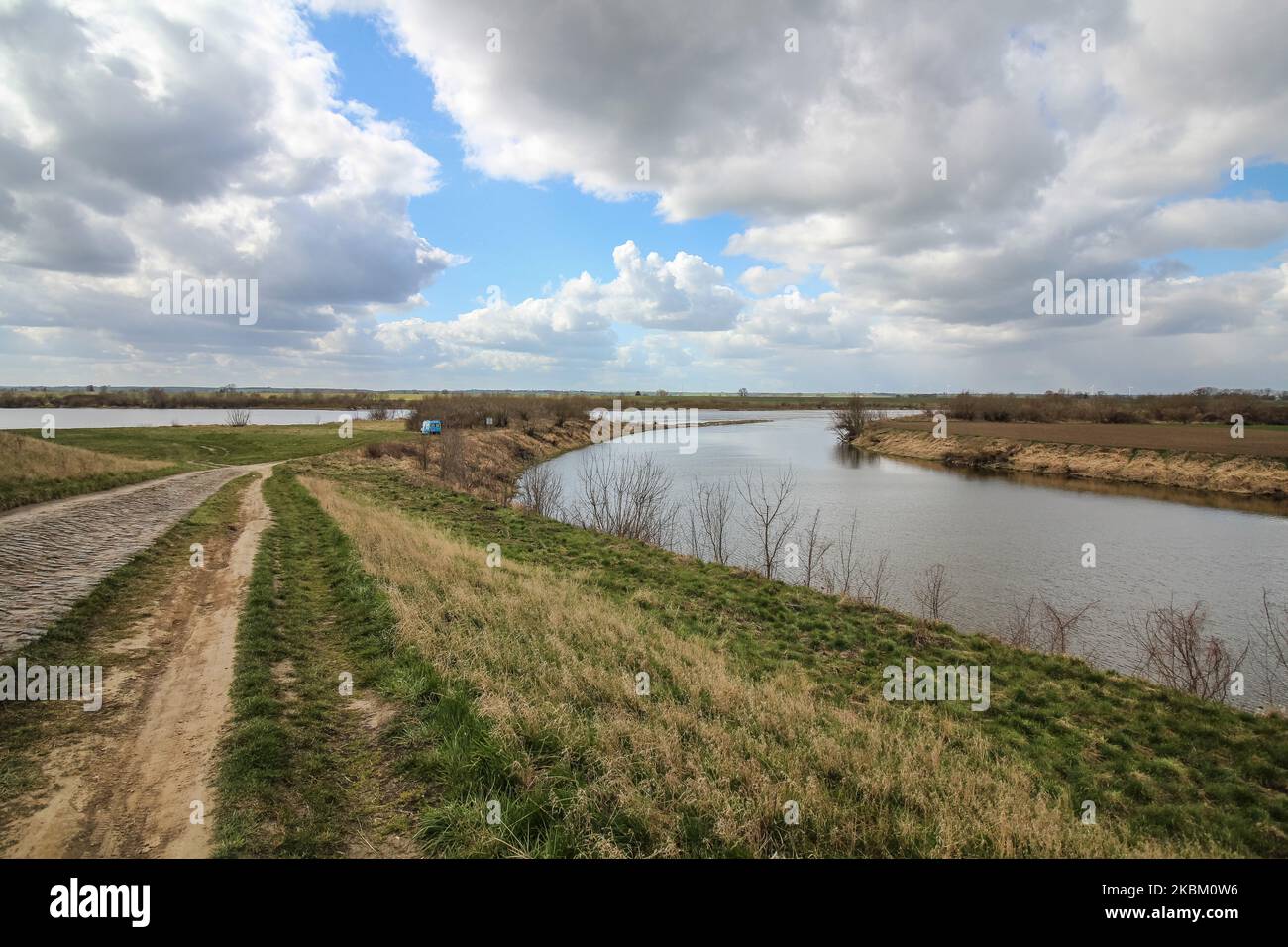 Bäume und Sträucher an der Flussmündung der Nogat zur Weichsel (Wisla) werden am 4. April 2020 in Biala Gore, Polen, gesehen.über 1500 Biber, die unter strengem Artenschutz stehen, werden von der polnischen Regierung zum Tode verurteilt. Die Regierung sagt, Biber zerstören Ackerland durch den Bau von Lodges, und sie mussten getötet werden. (Foto von Michal Fludra/NurPhoto) Stockfoto