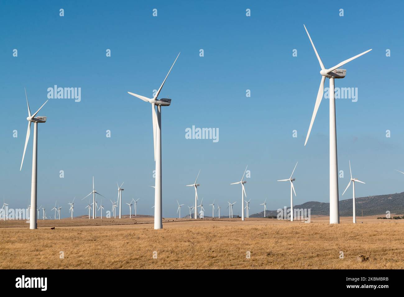 Hunderte von Windmühlen im Parque Eolico Aviadores in der Nähe von Tahivilla, Andalusien, Spanien. Stockfoto