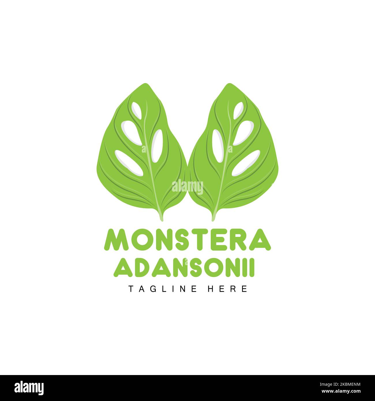 Monstera adansonii Blatt-Logo, Grüner Pflanzenvektor, Baum-Vektor ...