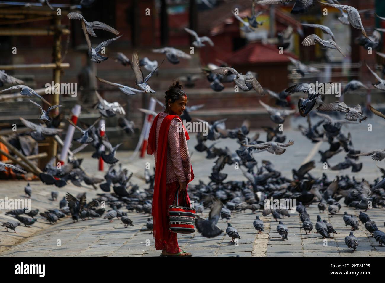 Am 16. April 2020 wird auf dem Hauptplatz in Kathmandu, Nepal, eine Taubenschar abgebildet. Tausende von Tauben, die im Stadtzentrum leben, kämpfen unter der Sperre des Coronavirus darum, genügend Nahrung zu finden. Leere Straßen und der Mangel an Touristen, die Reste fallen ließen, gefährden die Tauben den Hunger. (Foto von Sunil Pradhan/NurPhoto) Stockfoto