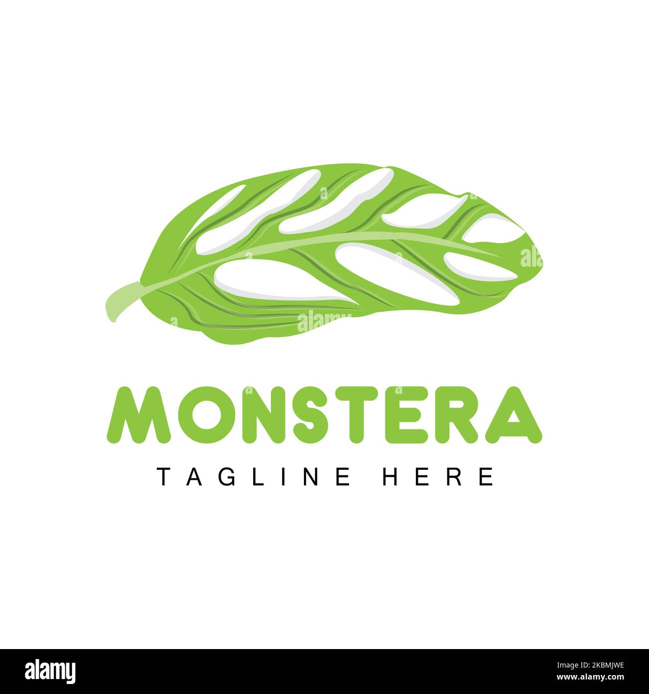 Monstera adansonii Blatt-Logo, Grüner Pflanzenvektor, Baum-Vektor ...