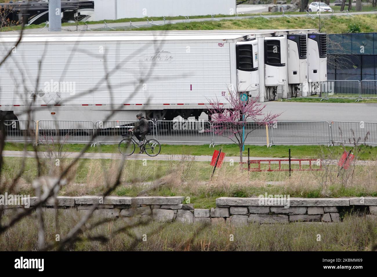 Ein Blick auf einen einflügeligen Radfahrer, der während der Coronavirus-Pandemie am 19. April 2020 an einer Reihe gekühlter Leichenhallen in einem Depot im Randall’s Island Park, New York City, USA, vorbeikam. (Foto von John Nacion/NurPhoto) Stockfoto