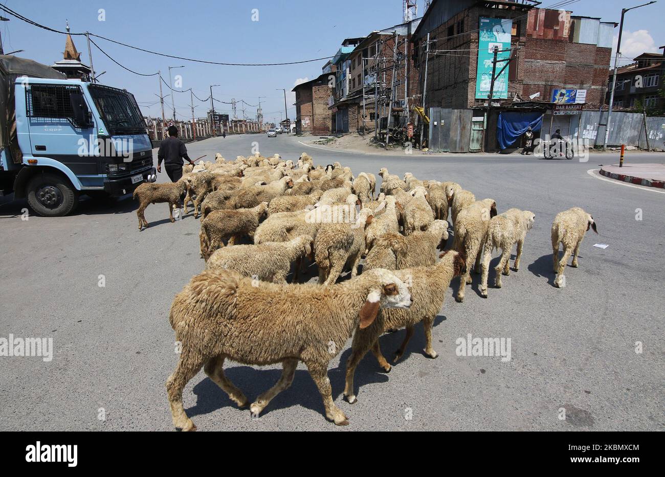 Ein Kashmiri-Mann zieht am ersten Ramadan-Tag in Srinagar, Kaschmir, am 25. April mit den Schafen um, 2020.im Kaschmir-Tal bestehen weiterhin strenge Beschränkungen, nachdem der indische Premierminister Narendra Modi die Sperre bis Mai 03 im ganzen Land ausdehnte, um die COVID-19-Coronavirus-Pandemie zu bekämpfen. Die Behörden im Kaschmir-Tal haben die Schließung aller religiösen Stätten angeordnet, um die Ausbreitung des COVID-19-Coronavirus zu verhindern. (Foto von Faisal Khan/NurPhoto) Stockfoto