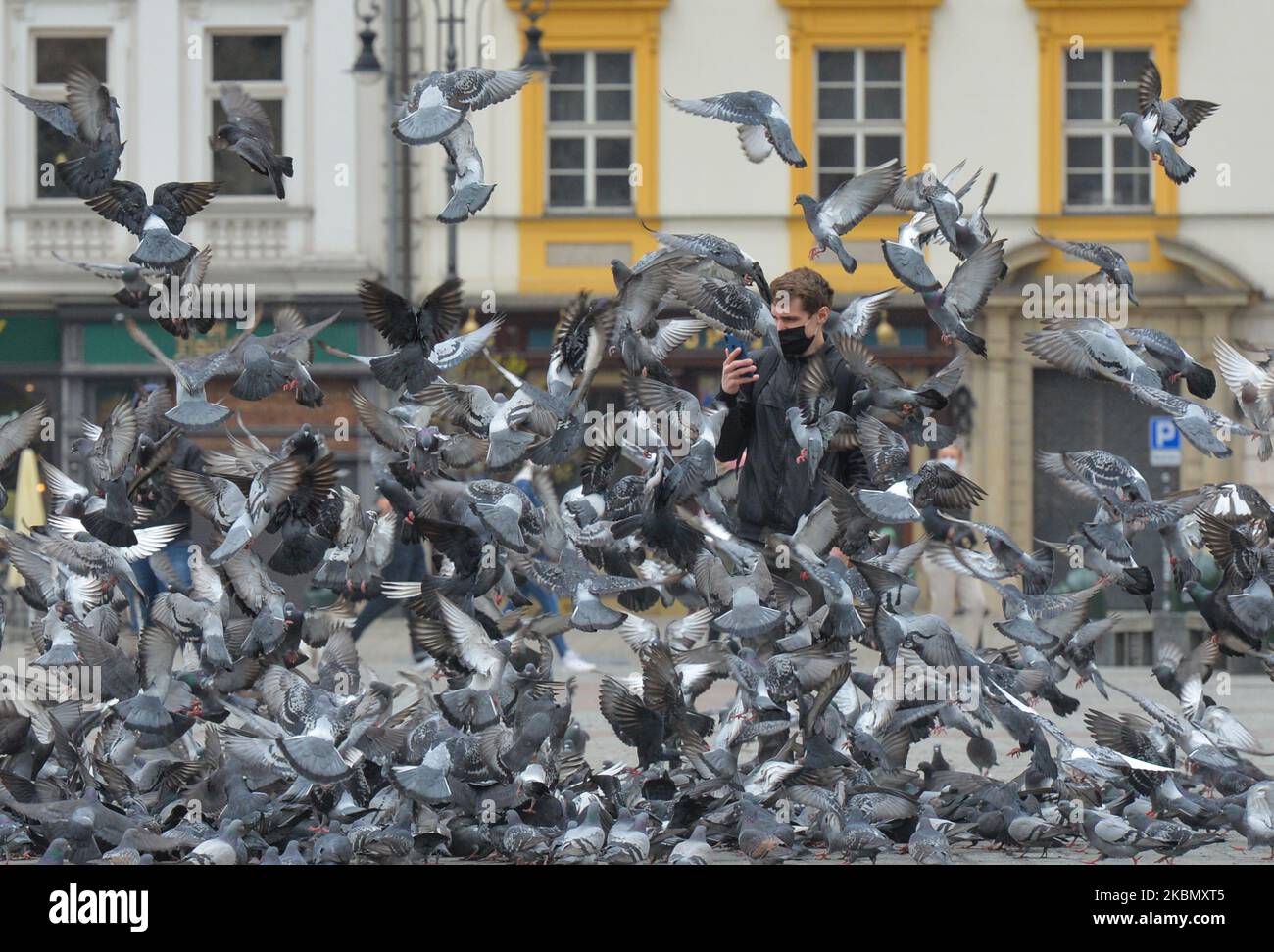 Ein Passant fotografiert eine Taubenschar auf dem Hauptplatz in Krakau. Aufgrund der Coronavirus-Krise haben Hunderte von Tauben Probleme, genug Nahrung zu finden, und sie sind dem Sterben ausgesetzt. Daher entsendet die Organisation den Inspektor täglich, um die hungrigen Vögel am Samstag, den 25. April 2020, in Krakau, Polen, zu füttern. (Foto von Artur Widak/NurPhoto) Stockfoto