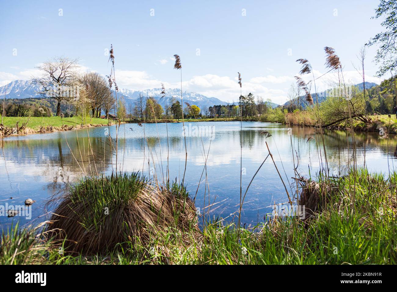 Frühlingsansicht des Sileisee, einem See bei Oberaudorf, mit schneebedeckten Alpen im Hintergrund, Oberaudorf, Bayern, Deutschland Stockfoto