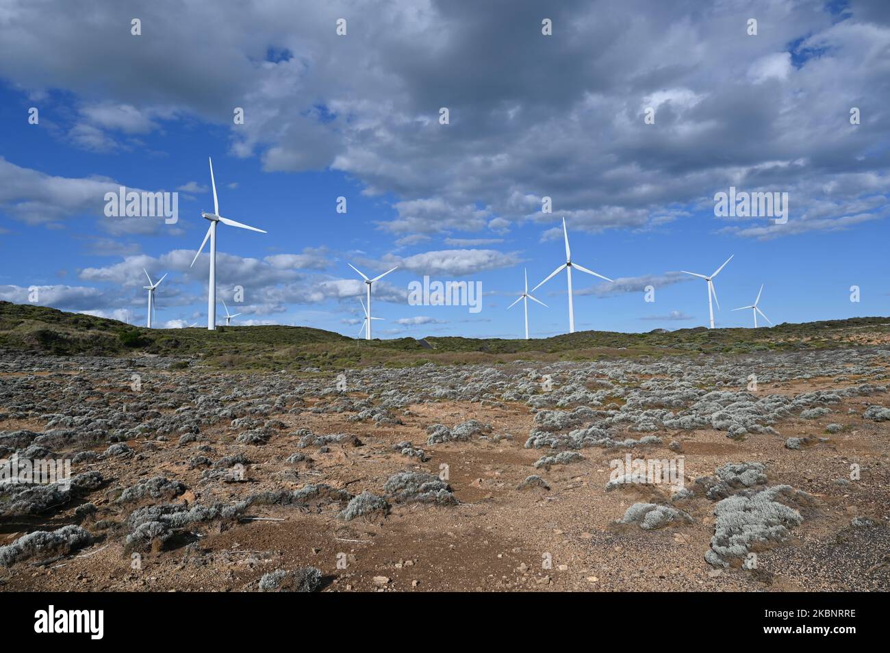 Windgeneratoren turbinen Strom in Cape Bridgewater, Australien Stockfoto