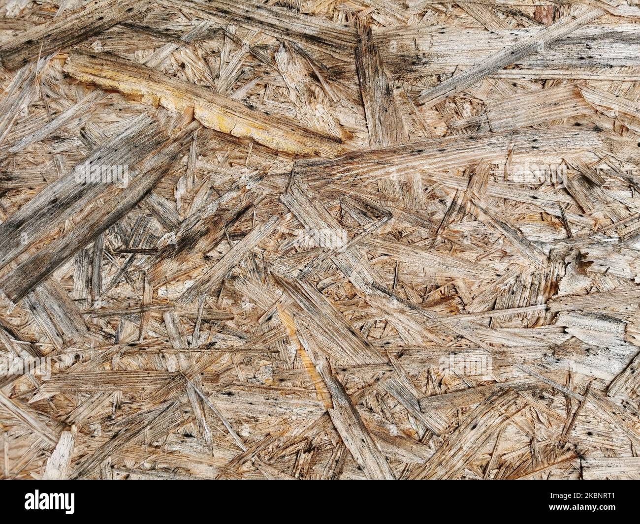 Spanplatte aus Holz, nasse Oberfläche. Hintergrund und Struktur der OSB- oder MDF-Platte. Nahaufnahme. Stockfoto