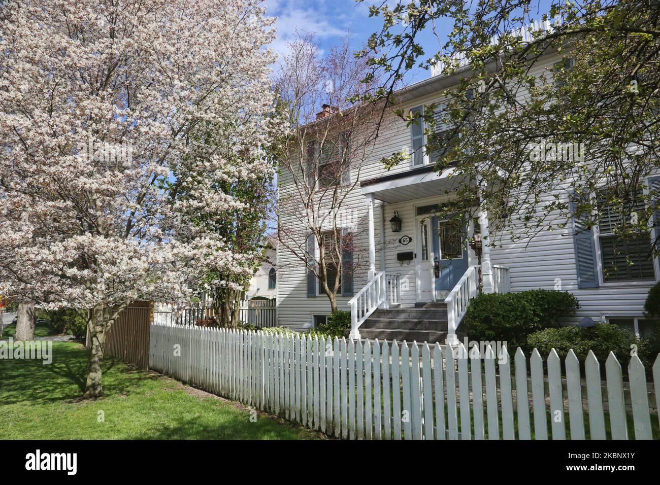 Weiße Blumen auf einem Baum bei einem alten Haus während der Frühjahrssaison in Toronto, Ontario, Kanada. (Foto von Creative Touch Imaging Ltd./NurPhoto) Stockfoto