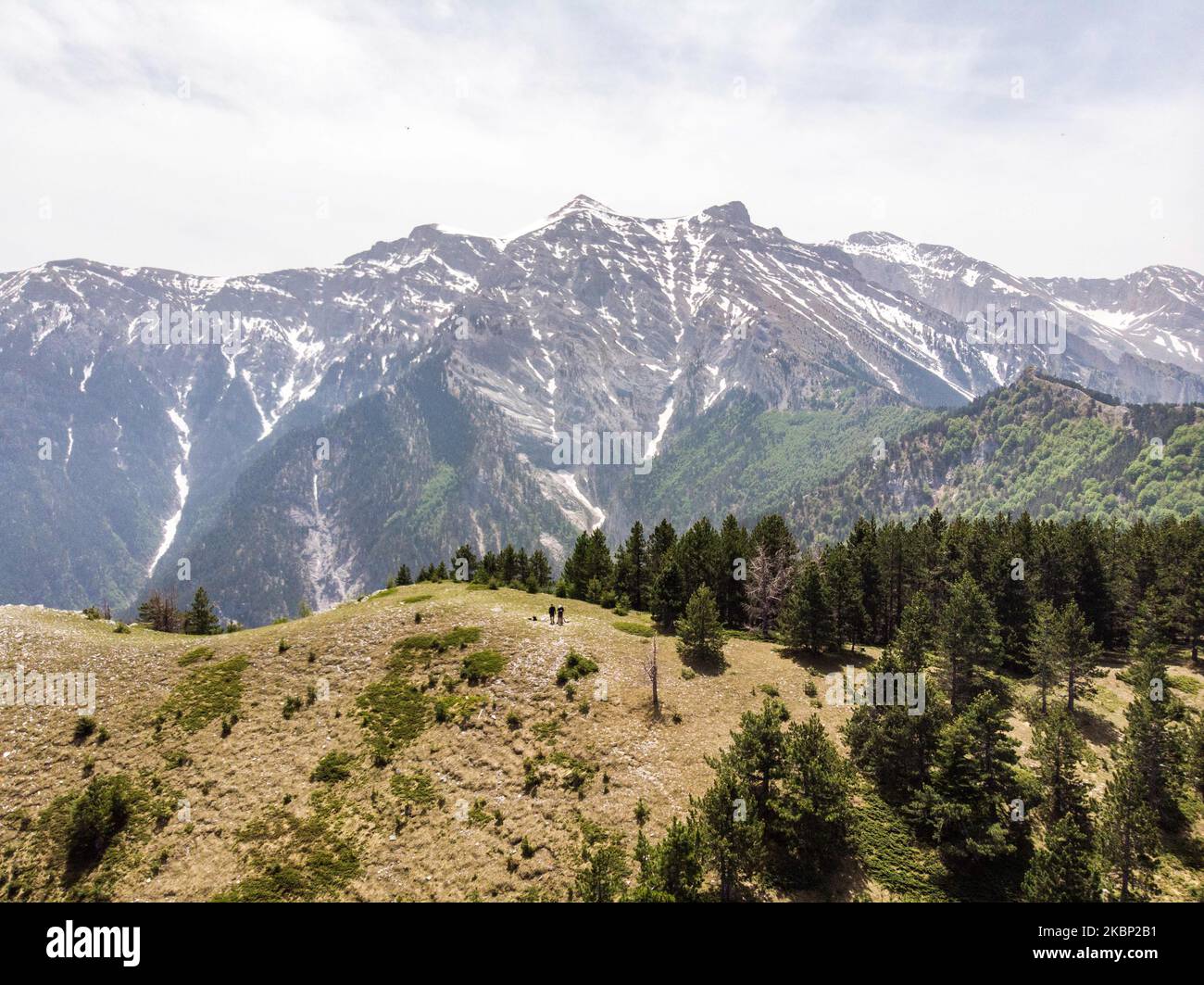 Luftaufnahme des Olymp, dem höchsten Berg Griechenlands, von einer Drohne aus gesehen, mit den steilen Hügeln, Schluchten, tiefen Schluchten, Höhlen, dichten Wäldern und schneebedeckten Gipfeln. Der höchste Gipfel ist Mytikasat 2918 Meter und der Berg war in der griechischen Mythologie als Heimat der Götter bekannt. Es ist ein Nationalpark in Griechenland und ein Weltbiosphärenreservat mit reicher Biodiversität und Flora. Olympus ist ein organisierter Berg mit Bergaktivitäten mit vielen Berghütten und vielen Kletter- und Trekkingrouten für Wanderer oder Kletterer. In der Nähe von Olympus befinden sich die goldenen Sandstrände von Pieria, die die com bieten Stockfoto