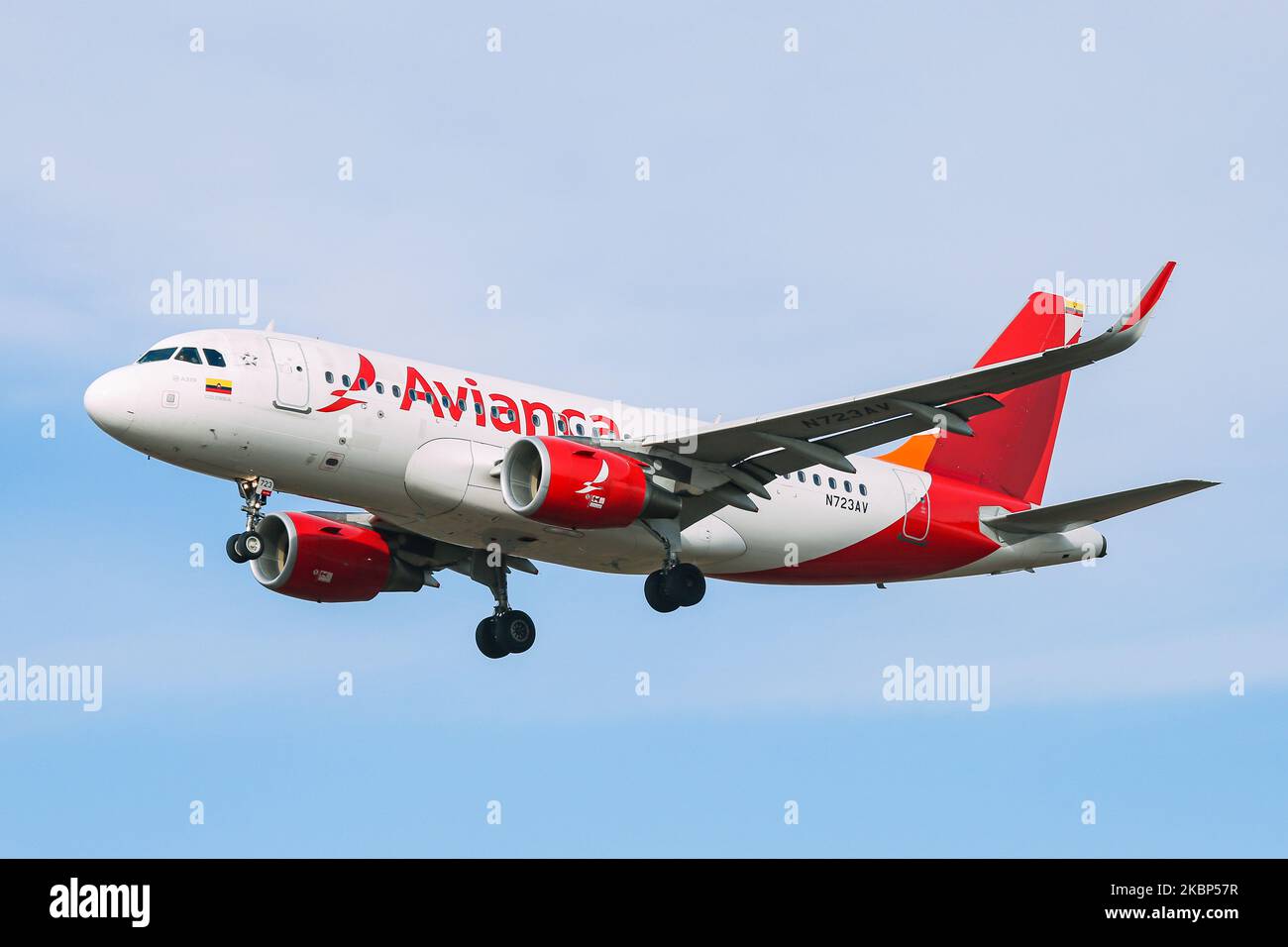 Avianca Aerovias del Continente Americano Airbus A319Verkehrsflugzeug