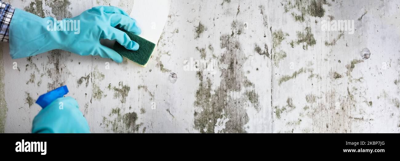 Reinigungsform An Schmutziger Wand. Wischmould-Service Stockfoto