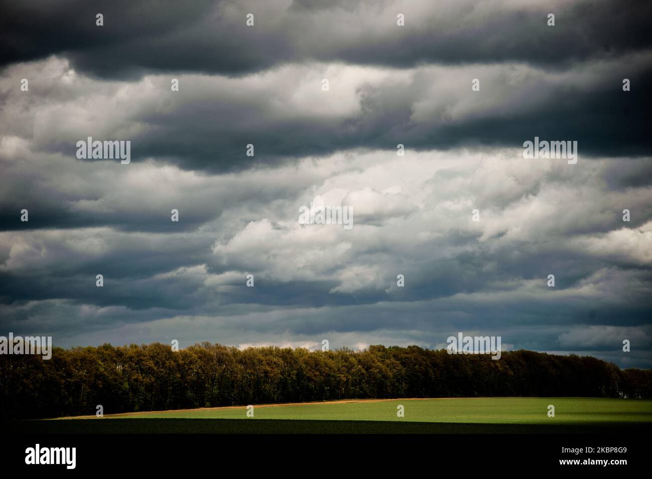 Neu gesät Feld in der Nähe der bulgarischen Stadt Dobritsch. Spätfrühling in der bulgarischen Stadt Dobritsch, Bulgarien am 24. Mai 2020 (Foto: Hristo Rusev/NurPhoto) Stockfoto