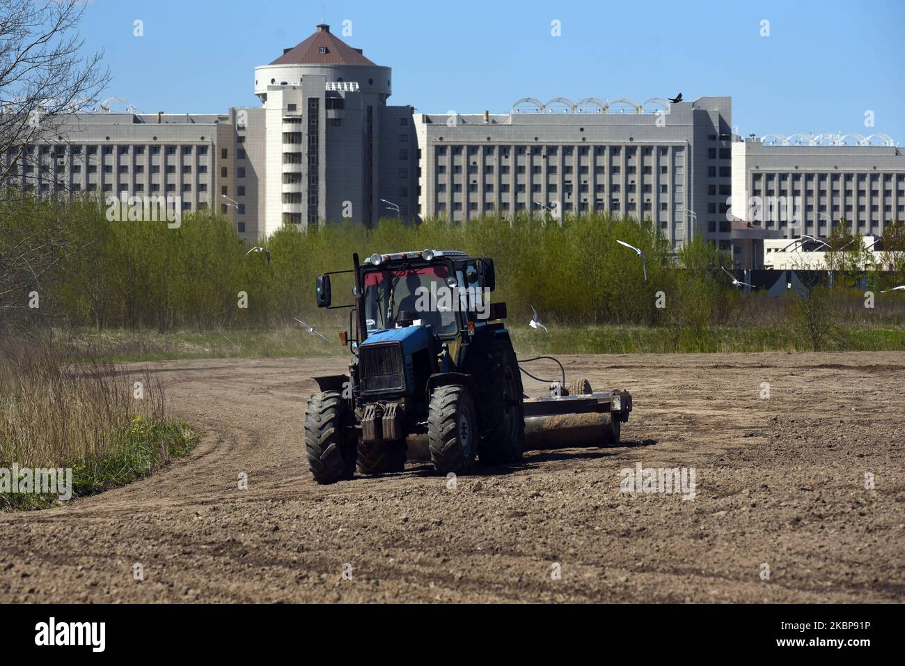 Ein Traktor pflügt am 25. Mai 2020 ein Feld gegenüber dem Untersuchungsgefängnis New Kresty in Kolpino, außerhalb von St. Petersburg, Russland. New Kresty ist das größte Untersuchungsgefängnis in Europa. (Foto von Sergey Nikolaev/NurPhoto) Stockfoto