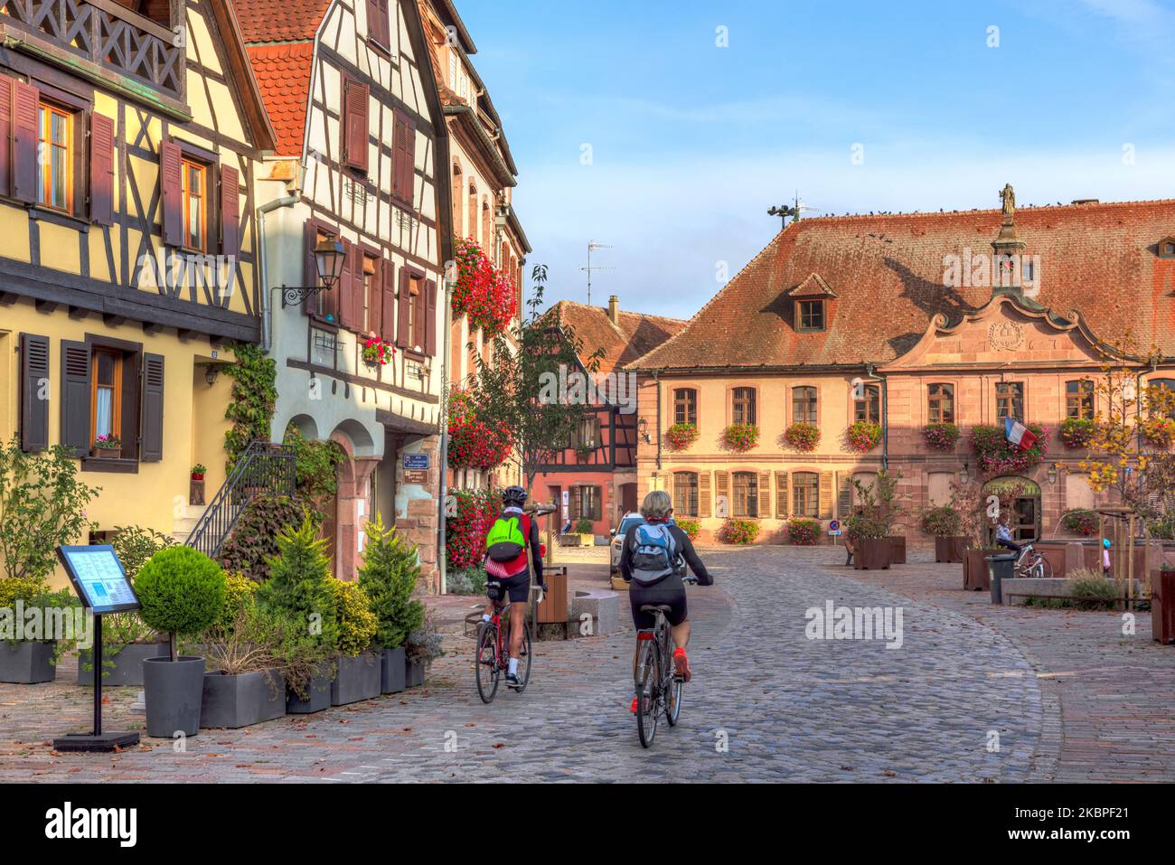 Bergheim, Alsace, Haut-Rhin, Grand Est, Frankreich Stockfoto