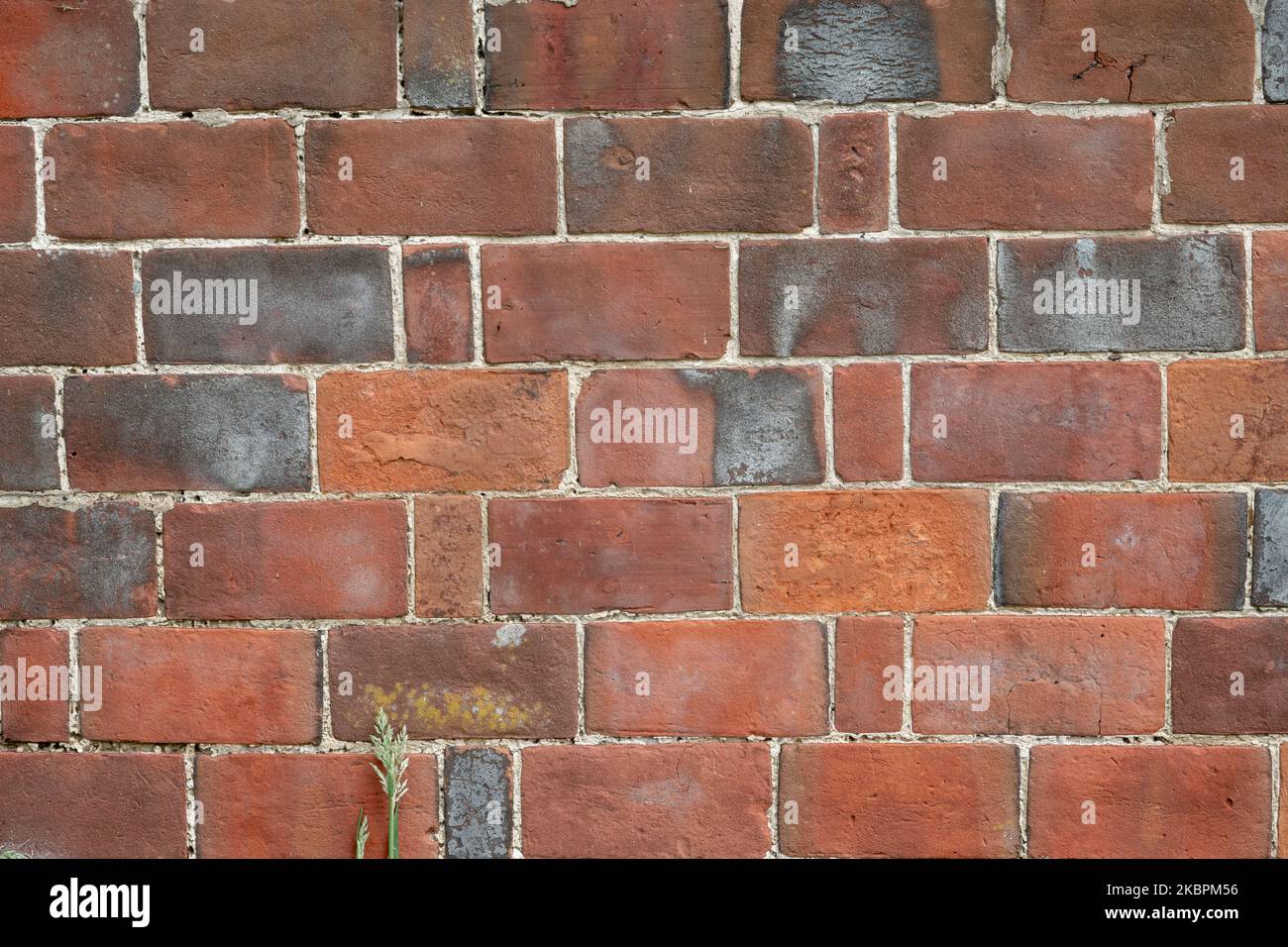 Nahaufnahme der antiken roten Backsteinmauer, die in „Garden Wall Bond“ verlegt wurde Stockfoto