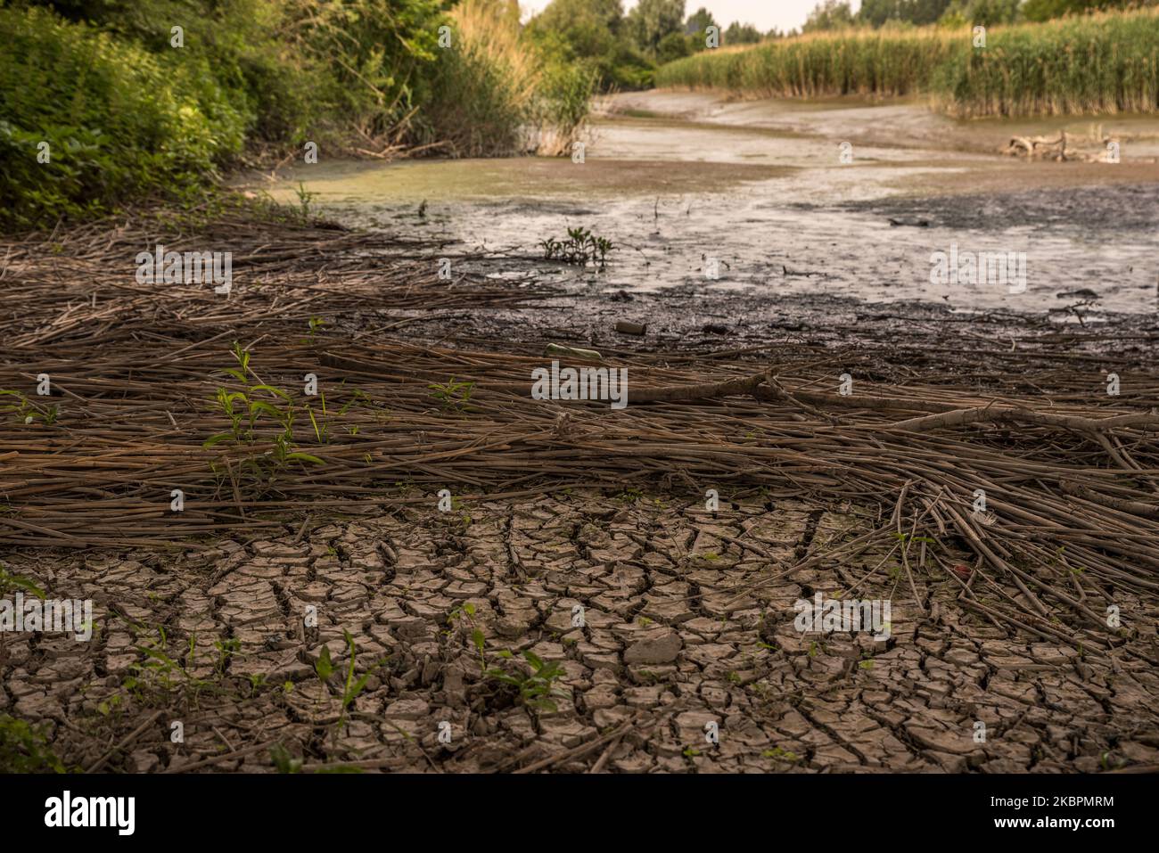 Am 03. Juni 2020 ist in Ghentbrugge, Belgien, ein niedriger Wasserstand in Flüssen und Grundwasser zu beobachten.Es ist noch kein Sommer, es ist eigentlich noch Frühling, und das ist sehr alarmierend für belgische Landwirte und Haushalte. Klimastörungen werden uns weiterhin mit Dürre, Überschwemmungen, Hitzewellen und dem Verlust der biologischen Vielfalt konfrontiert, sagt Wassermanagementexperte der KU Leuven. Der Monat Mai wird auch der trockenste seit 200 Jahren. Meteorologen sagen, dass die Niederschlagsmengen in diesem Monat niedrig sind (Foto: Jonathan Raa/NurPhoto) Stockfoto